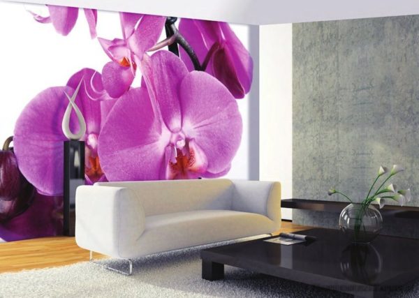Большие орхидеи на стене в гостиной 